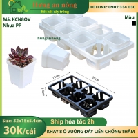 KCN8OV - khay chữ nhật 8 ô vuông dùng chứa chậu từ 6cm - 7cm trồng sen đá xương rồng tiện di dời