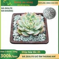 Bao 20kg Đá khoáng Zeolite giữ nước, giữ ẩm và giữ phân bón mang dinh dưỡng cho bộ rễ, thoáng khí tốt.