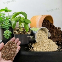 Túi 1 kg Vermiculite đá khoáng giá thể ươm trồng rau mầm, trộn các loại giá thể khác ( lưu ý: gọi đá nhưng siêu nhẹ )