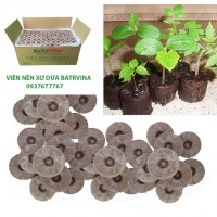 Thùng 1.000 Viên nén xơ dừa ươm hạt giống thương hiệu BaTriVina