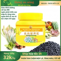 Lọ 250g - Phân bón hữu cơ tan chậm Meger mập lá, to lá, tăng màu, tốt rễ, ngừa thối rễ dành các loại cây mọng nước