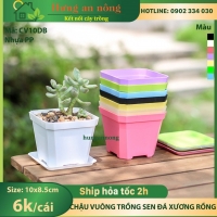 CV10DB - Chậu nhựa dầy chất liệu PP trồng sen đá xương rồng bonsai ( không kèm dĩa lót )