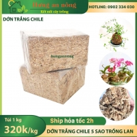 1kg Dớn Trắng Chile loại 5 Sao Chuyên dùng cho trồng lan, làm giá thể cho các loại cây trồng khác