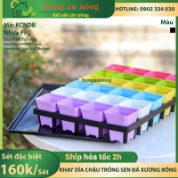 Sét đặc biệt khay 24 ô + dĩa lót khay và 24 chậu vuông mix màu nhựa PP dầy