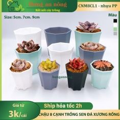 CNM8CL1 - chậu 8 cạnh chuyên trồng sen đá xương rồng bonsai nhựa PP dầy gần 2mm size 5cm, 7cm,9cm