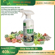 500ml - Blastin siêu kích mầm dành cho cây mọng nước sen đá xương rồng, phân hữu cơ phun trực tiếp lên cây