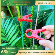 CD1A - 100 Kẹp nhựa PP cố định cành, dây leo tiện dụng tiết kiệm tái sử dụng nhiều lần size 4x6x1.6cm ( xem trong mô tả )