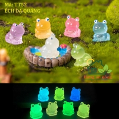 TT52 - 100 Ếch dạ quang trang trí tiểu cảnh sen đá, xương rồng, bonsai, cây để bàn - nhớ xem phần mô tả