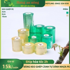 Băng keo ghép cành tự dính chất liệu nhựa PE, bản 3cm, 6cm, 10cm