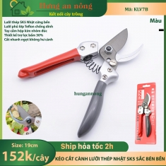 KLV7B – kéo cắt cành lưỡi thép Nhật SK5 phủ lớp Teflon sắc bén cắt ngọt không làm hư cây ( xem trong mô tả )