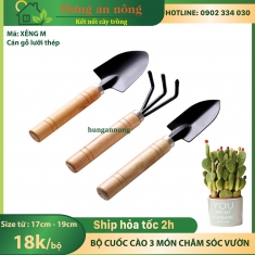 Bộ 3 cuốc cào gỗ mini dụng cụ làm vườn size M