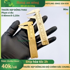 Thước kẹp vernier bằng đồng thau độ đo phạm vi 0-80mm chính xác cao, có 2 mẫu giao ngẫu nhiên