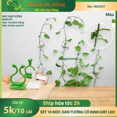 MDANT - Sét 10 móc dán tường cố định dây leo, cố định đường dây diện và nhiều loại khác ( xem trong mô tả giúp )