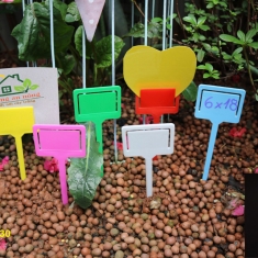10 thẻ trụ cắm kẹp giấy đa năng dùng để ghi nhớ tên giống cây trồng có 6 màu