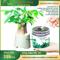 350g fortune green phân tan chậm hữu cơ dưỡng chất kéo dài 90-120 ngày chuyên kiểng lá trồng trong mát (xem trong mô tả)
