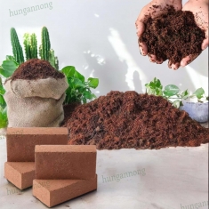 Giá thể hữu cơ 100% từ mụn dừa nén viên gạch dùng ươm trồng rau, cây cảnh 450g viên