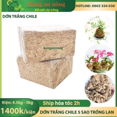 1 kiện dớn chile loại nhất rêu rừng cao cấp