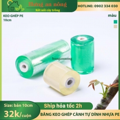 Băng keo trong bản 10cm ghép cành tự dính chất liệu nhựa PE