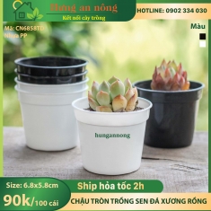 CN6858TD - Sét 50 chậu tròn đen trắng ươm trồng sen đá xương rồng, kiểng lá, bonsai mini, nhựa PP size 6.8x5.8cm