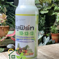 Phân Bón Lá Thái Lan 13-13-13 (Dạng Nước) 1 lít