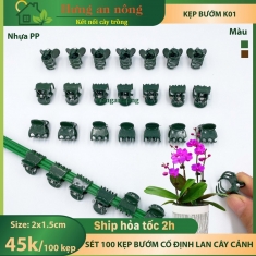 Mã K01 - Sét 100 Kẹp bướm cố định lan, lan hồ điệp mỗi kẹp chốt đinh được bấm khóa 2 đầu không bị tuột size 2x1.5cm