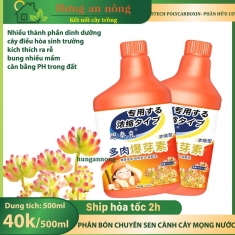 Phân bón Stech Polycarboxin hữu cơ, chuyên dùng cho sen đá cành và cây mọng nước, kích thích ra rễ, nhiều mầm