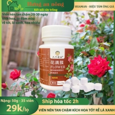 Lọ 35 viên - Phân bón viên nén tan chậm đa năng Huaman, hiệu Tám Ông Già, kích hoa, hoa to đậm màu, rễ tốt lá xanh
