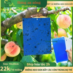 Sét 10 miếng keo dán 2 mặt kèm kẽm treo dùng bẫy côn trùng có cánh các loại bọ trĩ ( xem trong mô tả )