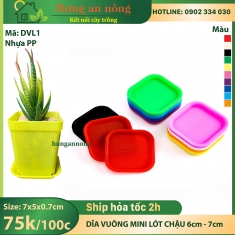 DVL1 - Sét 100 dĩa lót trồng sen đá xương rồng bonsai cây để bàn nhựa PP size chậu 7x7x0.7cm