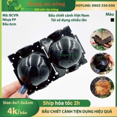 BCVN - bầu nhựa 6cm chuyên hỗ trợ chiết cành giúp rễ chiết sinh trưởng và phát tốt ( size 6x7.5x2cm )
