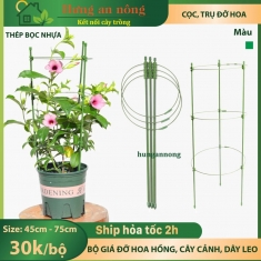 Bộ giá đỡ hoa hồng, cây cảnh, hỗ trợ dây leo size cao 45cm/75cm