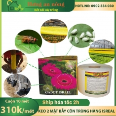 10 mét keo 2 mặt bẫy ong ruồi côn trùng có cánh, hàng Israel