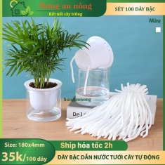Sét 100 dây bậc thấm hút nước tưới cây tự động có thể sử dụng từ 7-15 ngày sau khi thêm nước một lần size 180x4mm