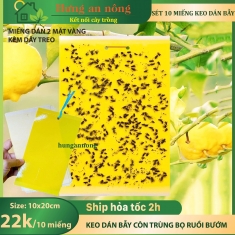 Sét 10 miếng keo dán 2 mặt kèm kẽm treo dùng bẫy ruồi vàng côn trùng có cánh ( xem trong mô tả )