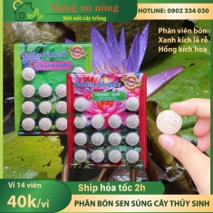 Phân viên hữu cơ Golden Flowers Thailand chuyên bón cây sen, súng và các loại thủy sinh khác vỉ 14 viên