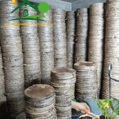 Phân Bánh Dầu Mè Hữu Cơ Đài Loan - Bánh 7kg