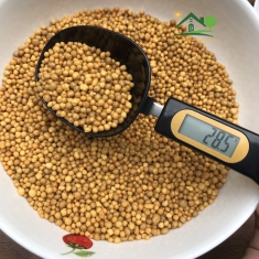 Cân điện tử bằng muỗng màu đen kèm pin cân được 300g-500g/0.1g size nhỏ