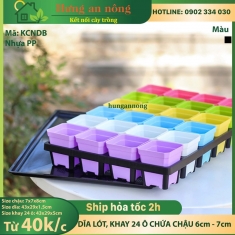 KCNDB - dĩa lót chữ nhật, khay 24 ô vuông chứa được chậu 6cm, 7cm chất liệu nhựa PP dầy