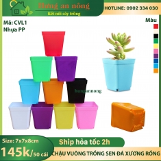 CVL1 - Sét 100 chậu vuông nhựa PP chuyên trồng sen đá xương rồng bonsai cây để bàn size 7x7x8cm