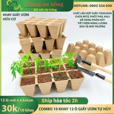KG12OUTH - Sét 10 khay 12 ô giấy tự hủy dùng ươm cây giống size mỗi ô 3.5x5cm