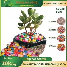 1kg Colored Stone sỏi màu đá màu trang trí dùng trang trí, rải mặt chậu, cố định cây, lót đáy hồ cá