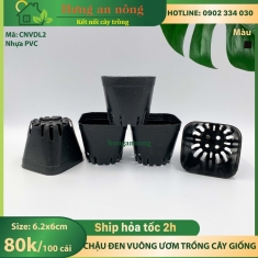 CNVDL2 - Sét 100 châu nhựa vuông đen ươm trồng cây size 6.2x6cm