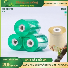 Băng keo trong bản 6cm ghép cành tự dính chất liệu nhựa PE