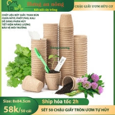 CG8UTH - 50 chậu giấy tròn tự hủy ươm cây giống tiết kiệm và bảo vệ môi trường. size 7.5x8cm