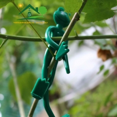 Bộ 2 dụng cụ buộc cố định cành hình khỉ xanh ngộ nghĩnh