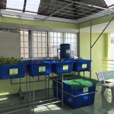 Bồn 500 Lít 4 khay 100 Lít