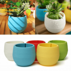 Combo 2 chậu nhựa trồng cây cảnh để bàn văn phòng, trồng sen đá xương rồng màu ngẫu nhiên
