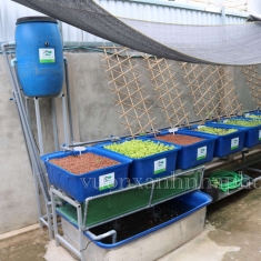 bồn 750 lít - 8 khay 100 lít