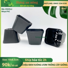 CNVDL2 - Sét 50 châu nhựa vuông đen ươm trồng cây size 10x10x8.5cm