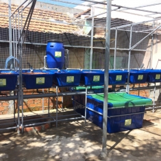 Bồn 1100 Lít - 10 khay 100 Lít